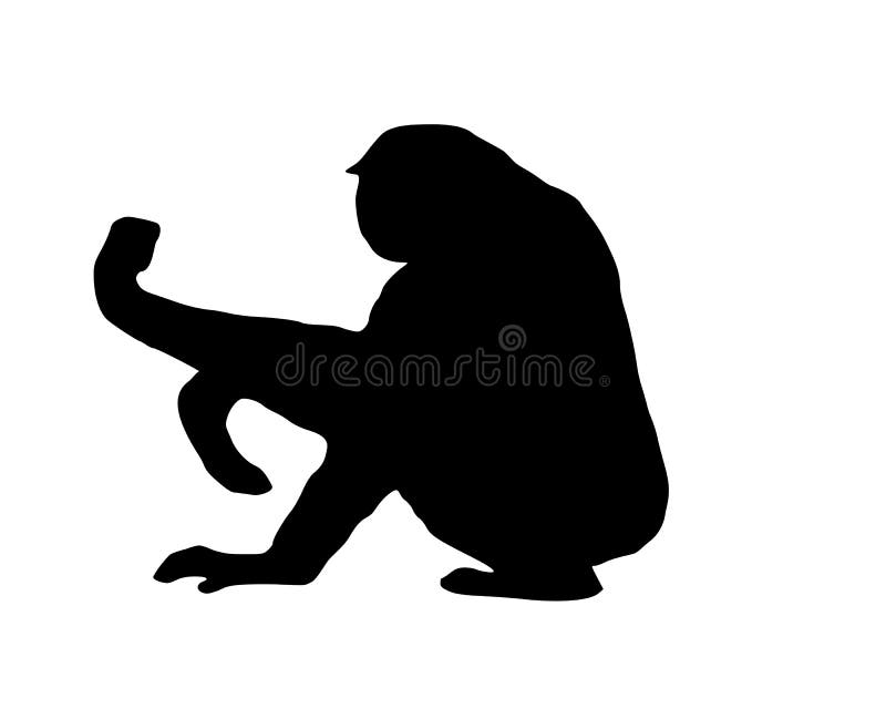Gibbon su bianco royalty illustrazione gratis Gibbon su bianco royalty illustrazione gratis