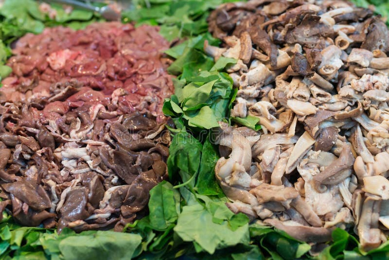 Lungs, Liver, Pancreas, Gallbladder, Heart, Section View of a Human