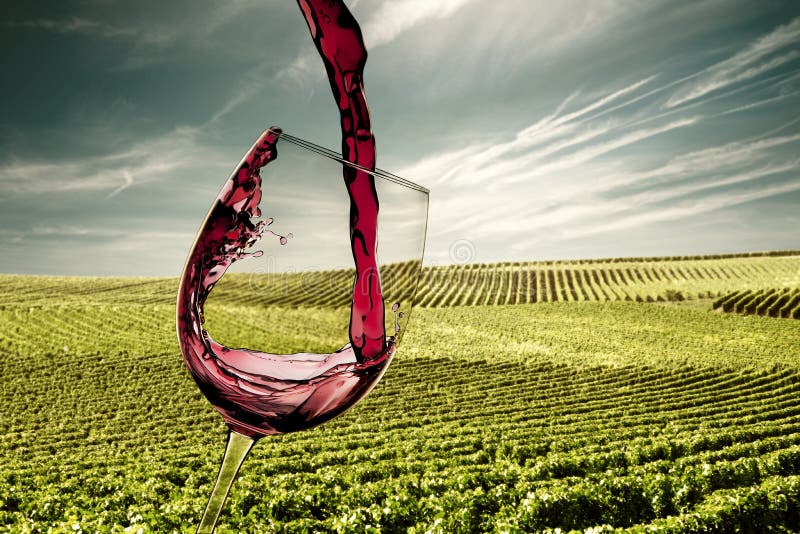 Pouring red wine glass with vines landscape. Pouring red wine glass with vines landscape