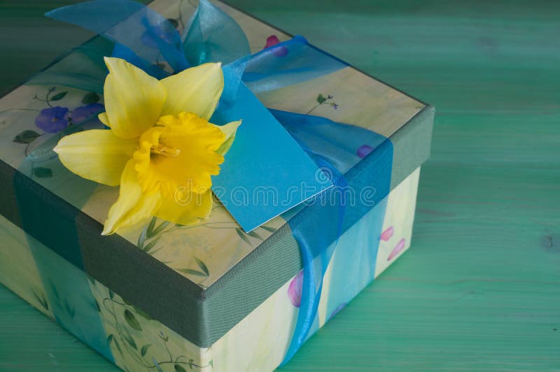 Gift Box with Daffodil stock image. Image of card, green 58329049