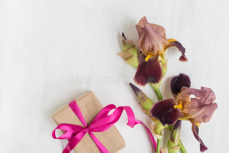 Iris Flower on a Blue Background Stock Photo Image of natural, card
