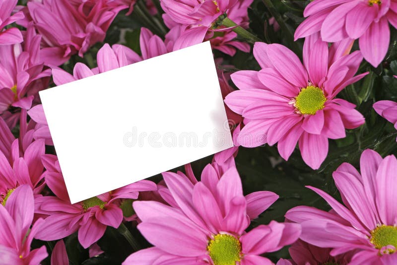 Gift card and flowers stock photo. Image of flower, petal 2091532