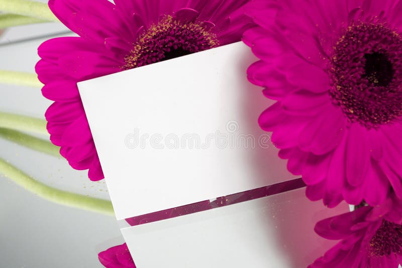 Gift card and flowers stock photo. Image of flower, petal 2091532