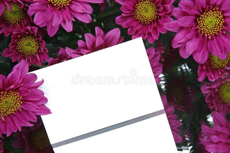 Gift card and flowers stock photo. Image of flower, petal 2091532