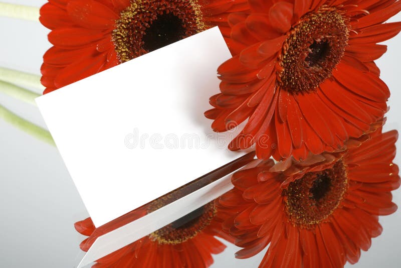 Gift card and flowers stock photo. Image of flower, petal 2091532