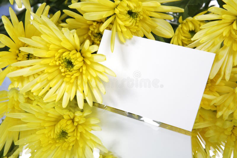 Gift card and flowers stock photo. Image of flower, petal 2091532