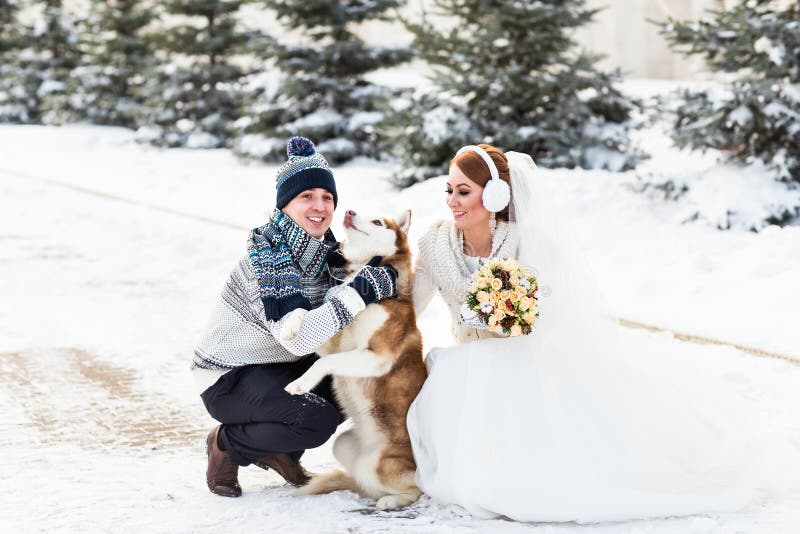 Gifta sig par och en gullig hund i vintertid arkivbild Gifta sig par och en gullig hund i vintertid arkivbild