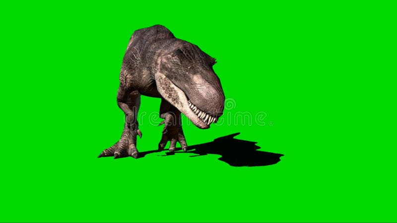 Dinossauro Andando Na Tela Verde Filme - Vídeo de lagarto, rugido