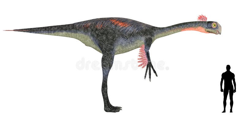 Gigantoraptor Size Comparison