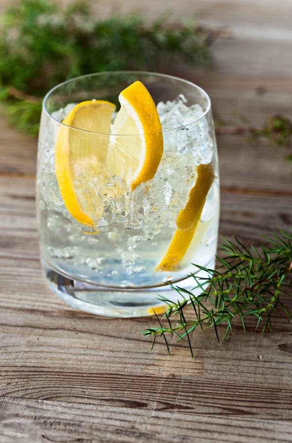 Gin with lemon and ice stock photo. Image of alcohol 42985822