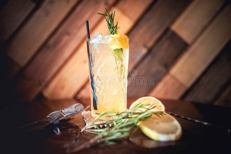 Gin tonic cocktail, alcoholic drink for hot summer days. Refreshment cocktail with rosemary, ice and lime.