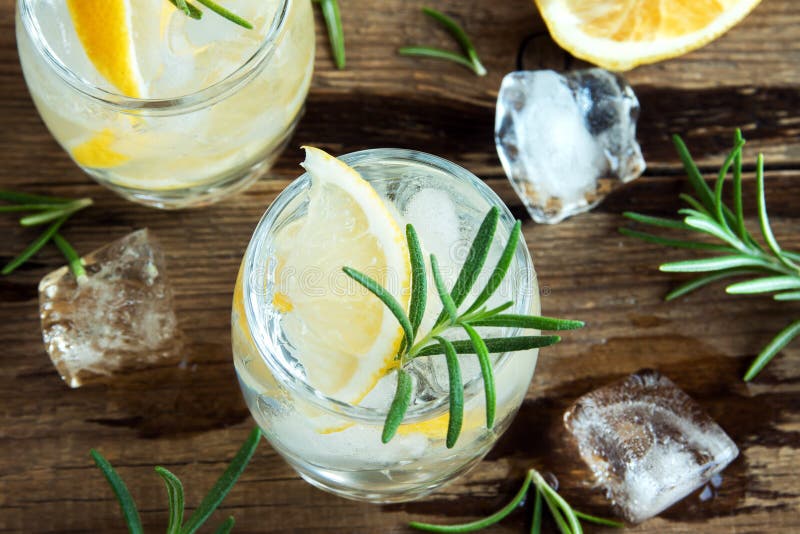 Gin Tonic Cocktail Con Il Limone, Rosmarino Fotografia Stock Immagine di limone, squisito