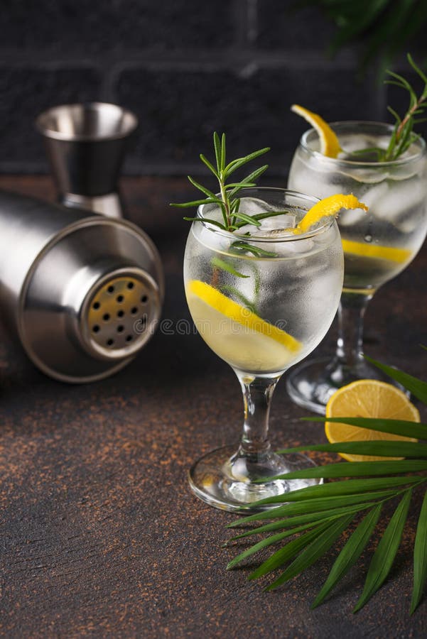 Gin Tonic Cocktail with Lemon Stock Photo Image of beverage, sweet 167728176