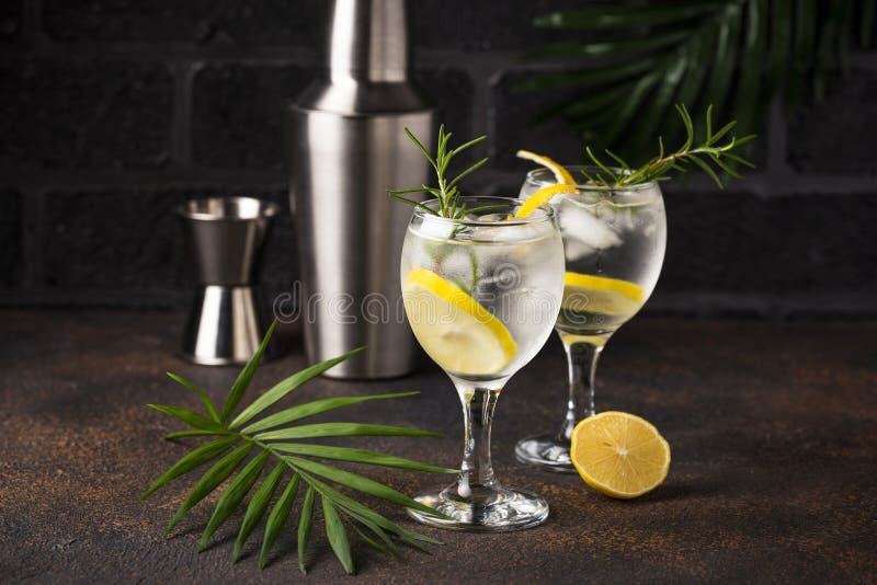 Gin Tonic Cocktail with Lemon Stock Photo Image of alcoholic, fresh