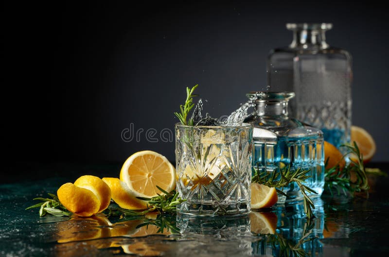 Gin Tonic Cocktail with Lemon and Rosemary Stock Photo Image of refreshment, freshness 298354384