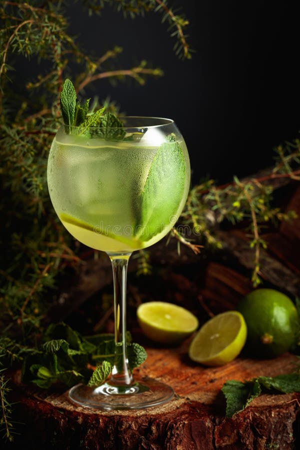 Gin and Tonic Cocktail with Lime and Mint Stock Photo - Image of ...