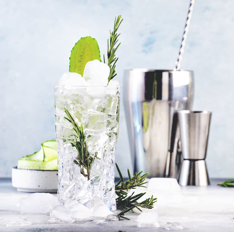Gin Tonic with Cucumber Cocktail, Long Drink with Dry Gin, Rosemary