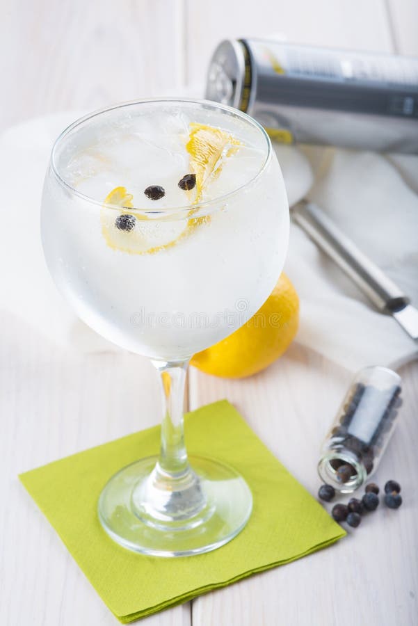 Gin and Tonic on a Highball Glass Stock Photo Image of beries, fruit