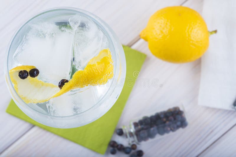 Gin and Tonic on a Highball Glass Stock Photo Image of fruit, glass