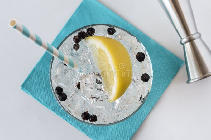 Gin and Tonic with Juniper Berries Stock Photo Image of alcohol