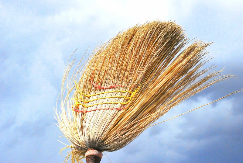 Ginestra di paglia astratta in alto nel cielo all'aperto. fotografia stock