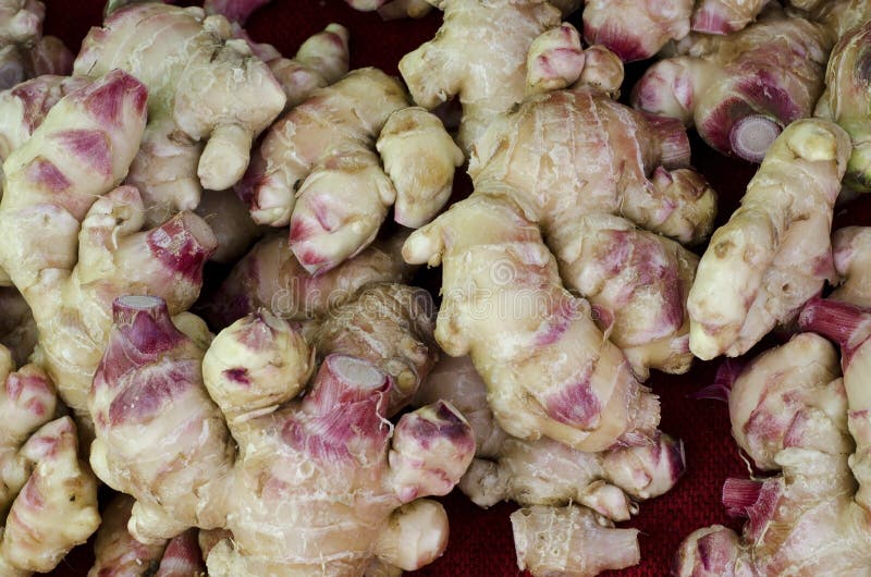 Gingembre frais photos stock