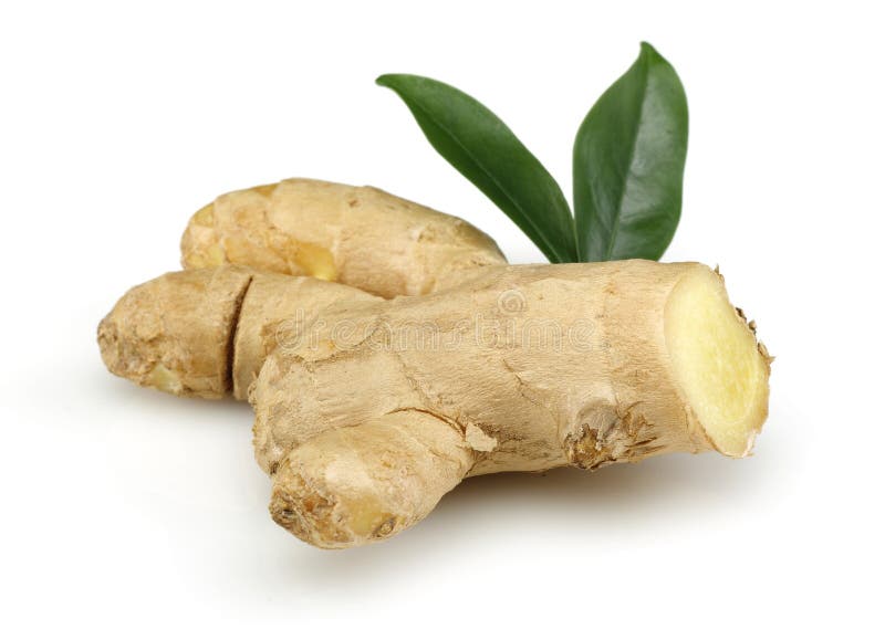 Gingembre frais photos stock
