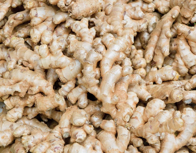 Gingembre frais images stock