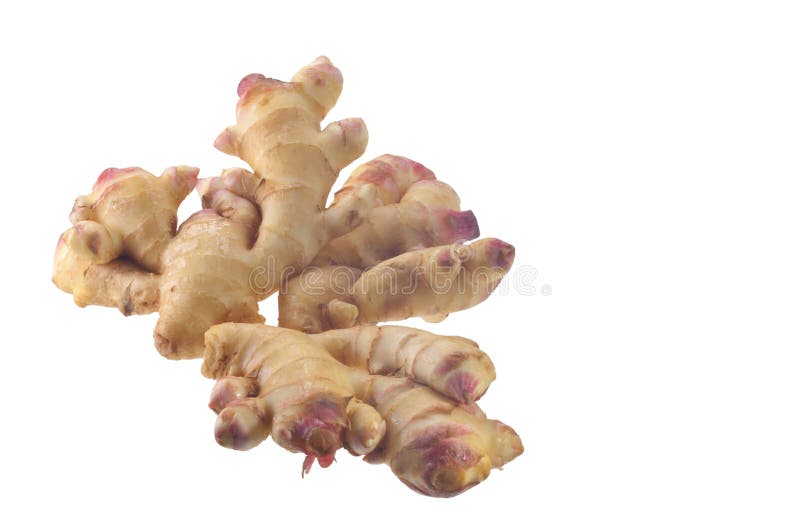 Ginger