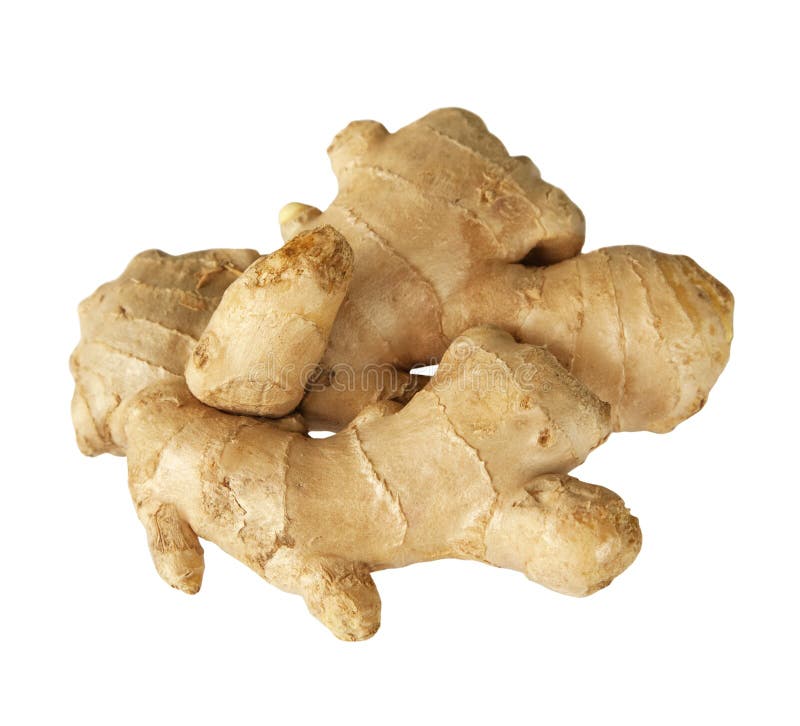 Ginger stock image. Image of medicine, chinese, eatable 1311321