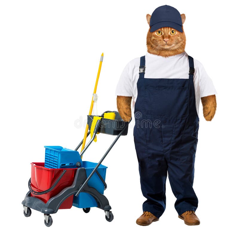 Ginger Cat Cleaning Worker.Isolated on White Stock Image Image of cleaner, domestic 238140913