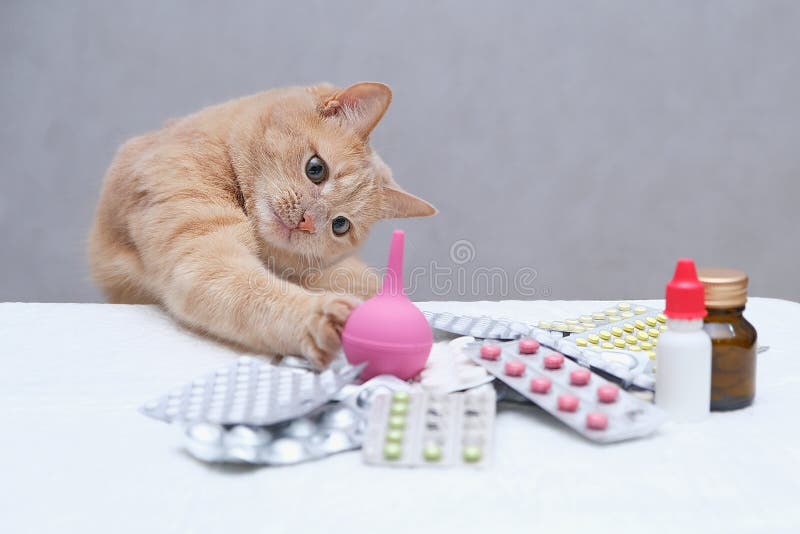 A ginger cat playing with a rubber medical enema. pile of medicines. Pet treatment concept