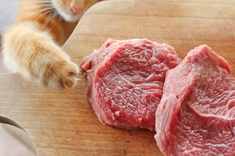 Ginger cat steals the raw meat