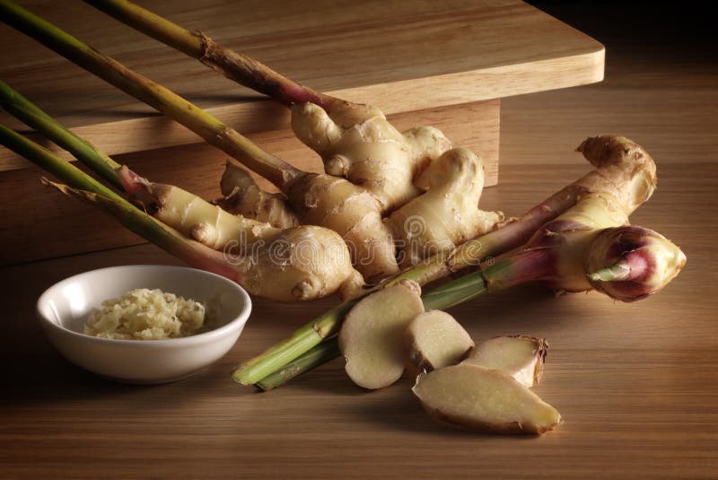 Ginger stock photography Ginger stock photography