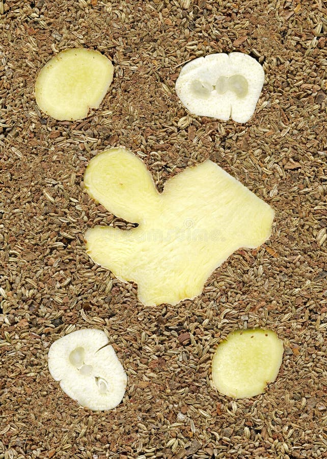 Ginger and Garlic with Chinese Five Spices Stock Photo Image of spice, garlic 40707020