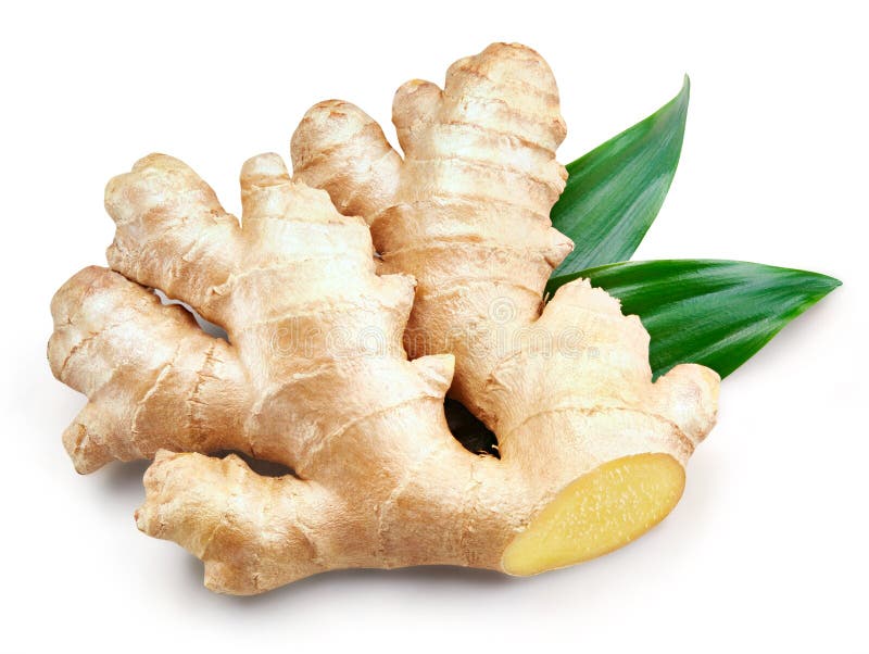 Ginger Isolated em um branco imagem de stock Ginger Isolated em um branco imagem de stock