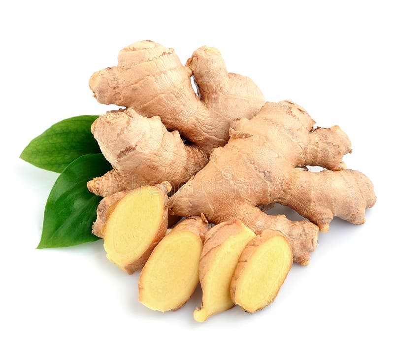 ginger isolated root στοκ φωτογραφία ginger isolated root στοκ φωτογραφία