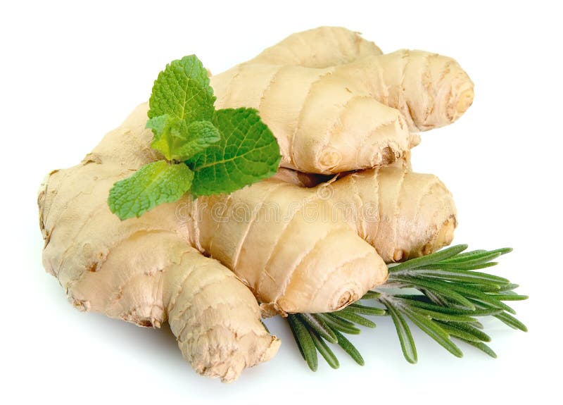Ginger With Mint And Rosemary Stock Image Image of vegetable, spice