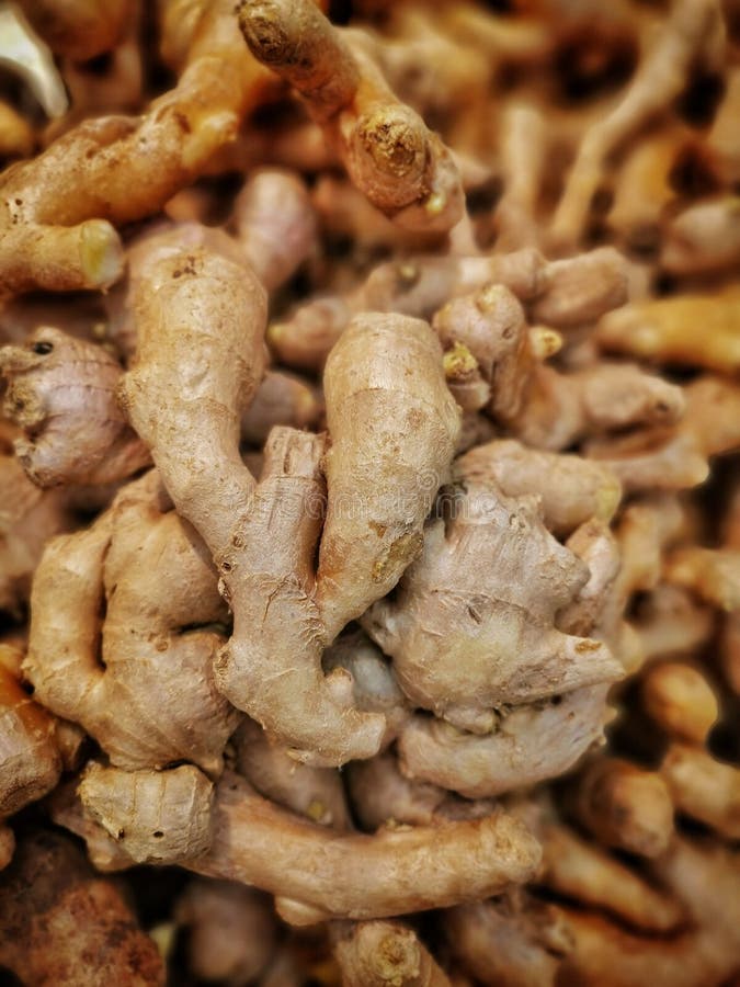 GINGER ORGANIC FRUIT VEGETABLE PICKLE WEIGHT LOSS Stock Image Image