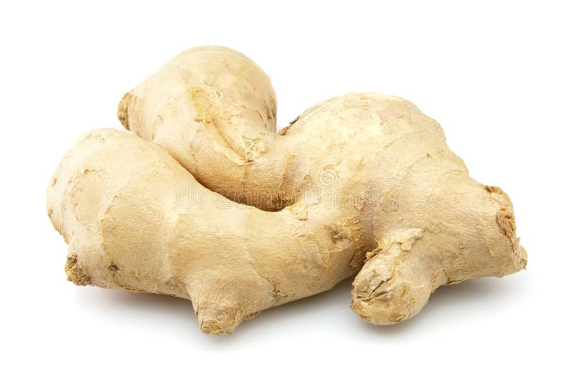 Ginger root stock image. Image of medicine, uneven, rough 17323303