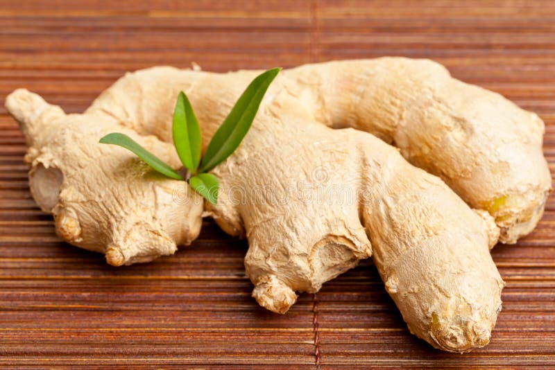 Ginger root stock photo. Image of plant, medicine, chinese 26514806