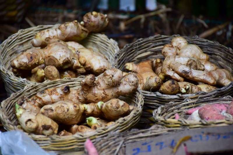 Ginger Root , Asian Food and Popular Asian Spice. Stock Image Image of travel, vegetable
