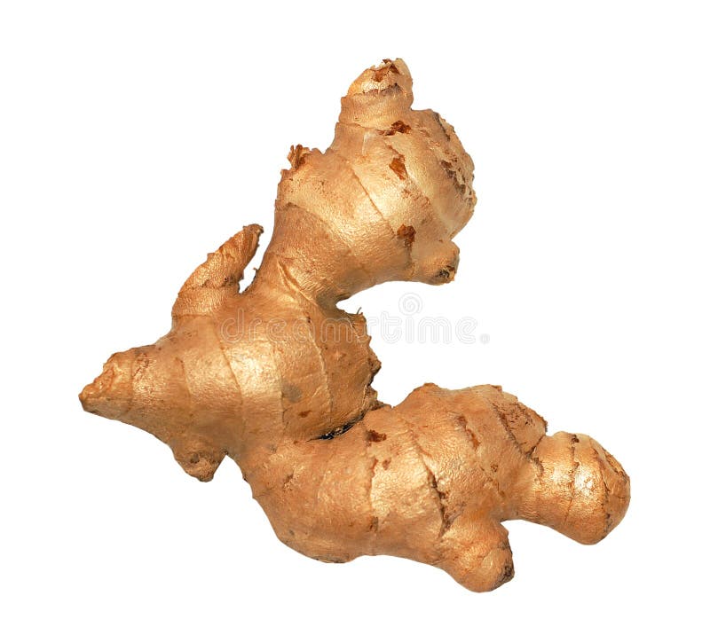 Ginger root / rhizome
