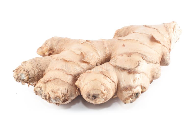 Ginger Root (Zingiber Officinale) Stock Photo Image of asian
