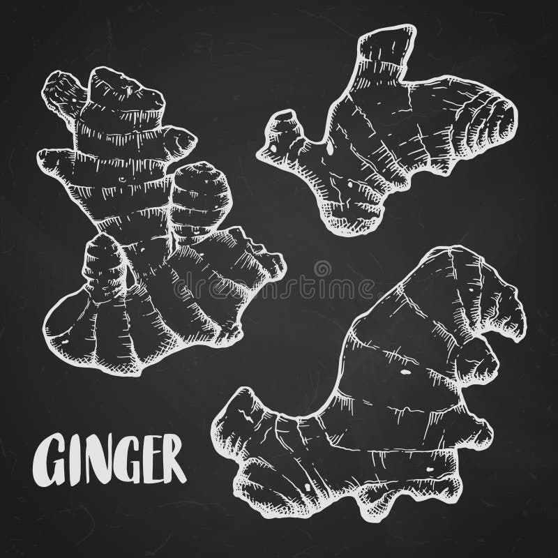Ginger roots collection
