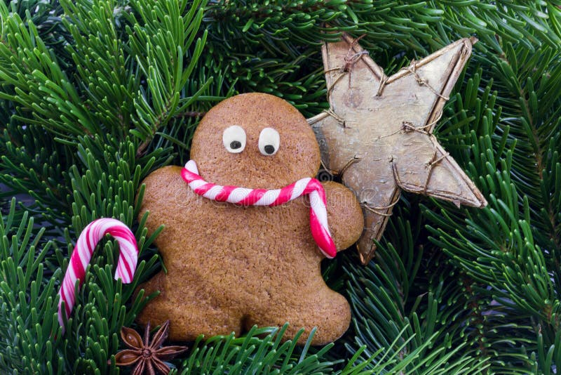 A Gingerbread Man with Christmas Decorations Stock Image Image of christmas, decoration 60912563