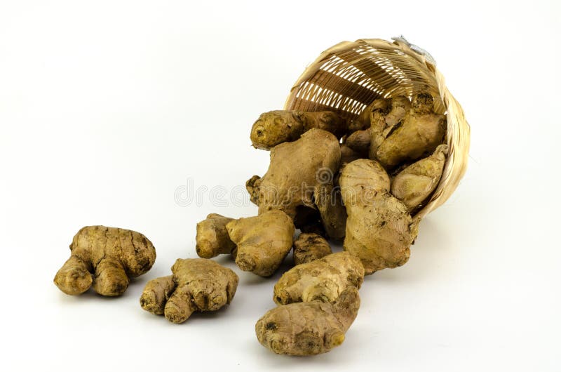Gingers stock image. Image of plant, spice, brown, eating 43790519