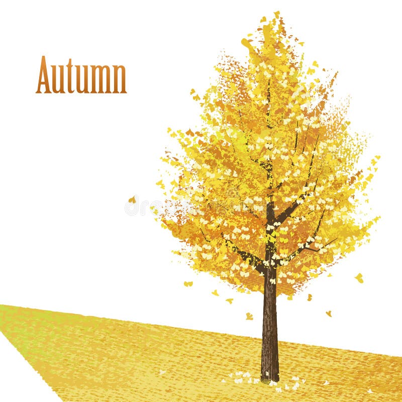 Gingko mit goldenen Blättern im Spätherbst lizenzfreie abbildung
