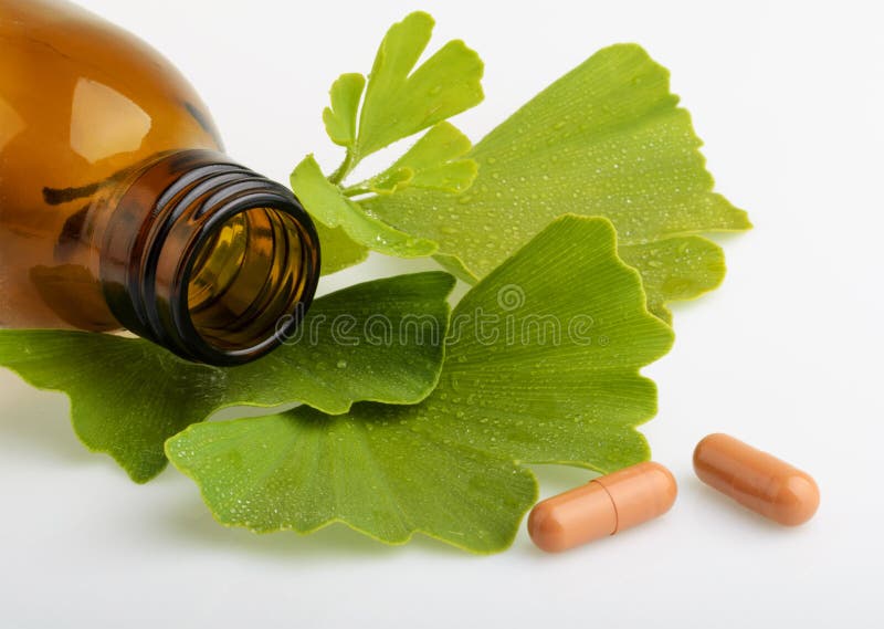 Ginkgo biloba leaves and medicine bottles with pills royalty free stock images Ginkgo biloba leaves and medicine bottles with pills royalty free stock images