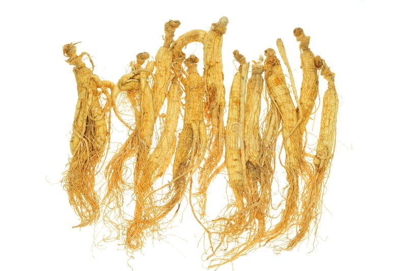 ginseng arkivfoton ginseng arkivfoton